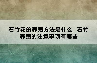 石竹花的养殖方法是什么   石竹养殖的注意事项有哪些